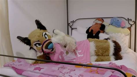 furries sex videos